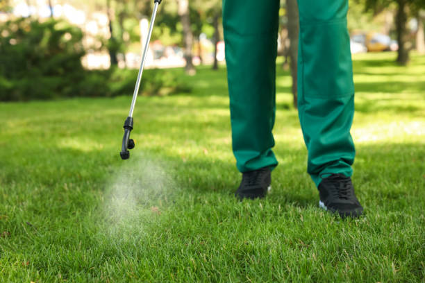 Professional Pest Control in Falls Church, VA