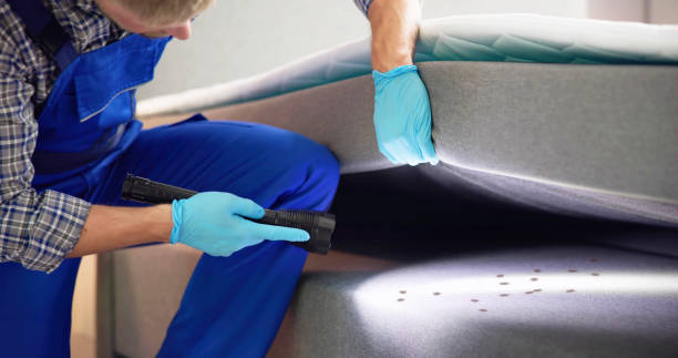  Falls Church, VA Pest Control Pros